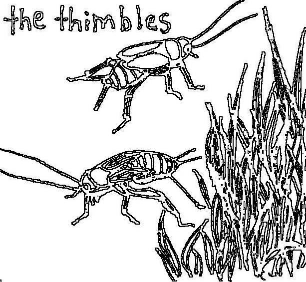 cricketline.jpg